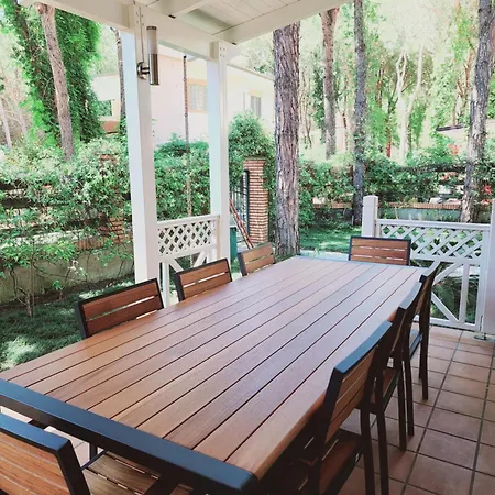 Pinetrees Gem * 골렘