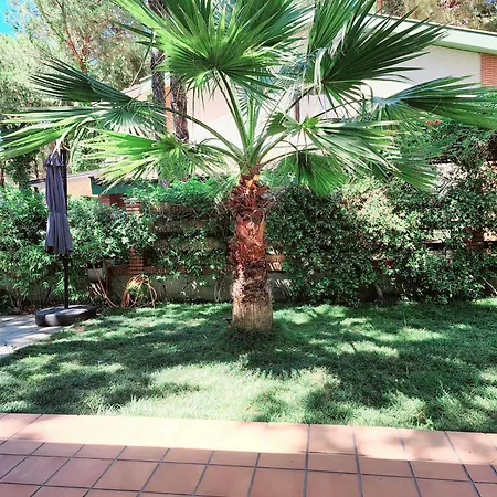 Pinetrees Gem Villa Golem (Tirana)