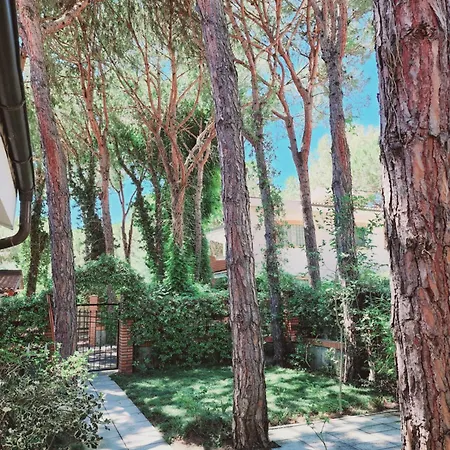 Pinetrees Gem Villa Golem (Tirana)