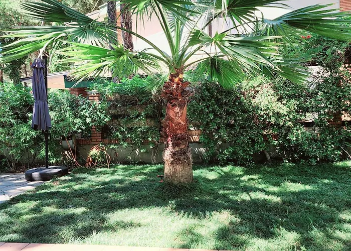 Pinetrees Gem Villa Golem (Tirana)